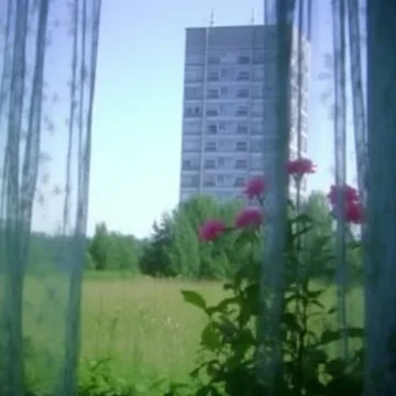 Flowers behind sheer curtains overlooking a tower.