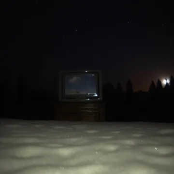 Old television in a dark room opening onto trees.