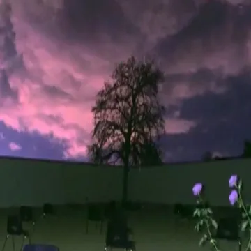 Tree and scattered chairs beneath a purple sunset.
