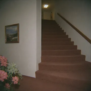 Pink flowers beside a plain staircase.