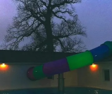 Rainbow tunnel beside a bare tree at dusk.