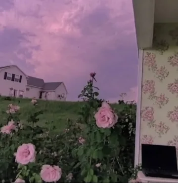 Roses beneath a pink sky beside an open doorway.